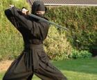Ninja воина и борьба с катаной